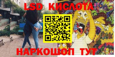 гашик Нальчик