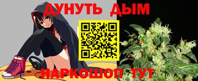 гашик Нальчик