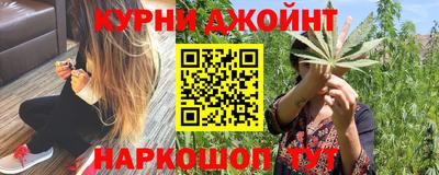 гашик Нальчик