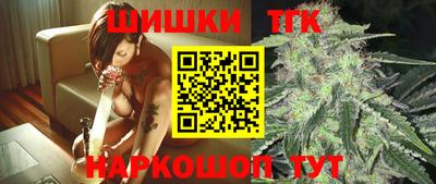 гашик Нальчик