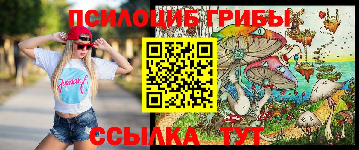 Псилоцибиновые грибы мицелий  Вход с VPN  Ржев 