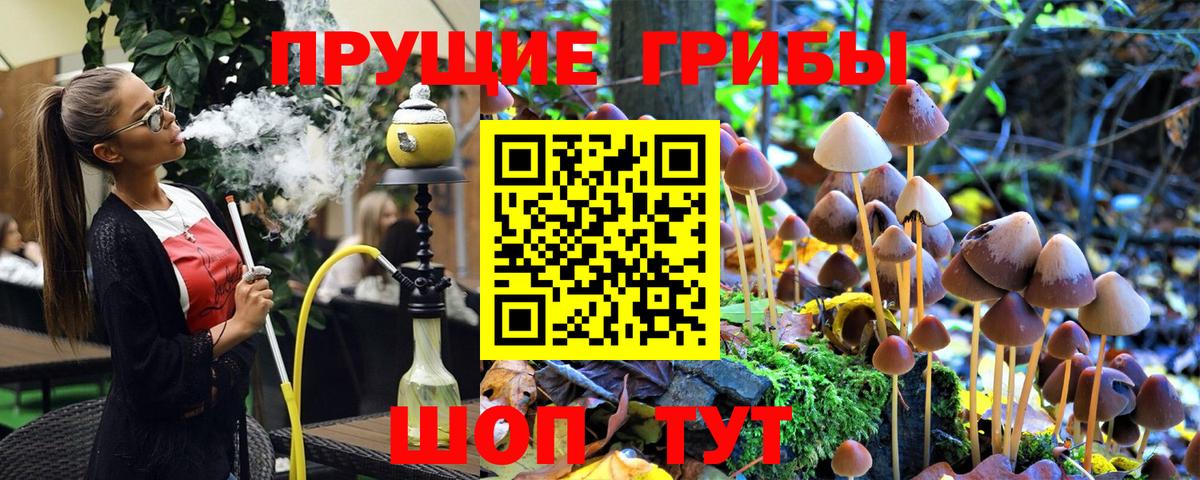 Галлюциногенные грибы прущие грибы Ржев