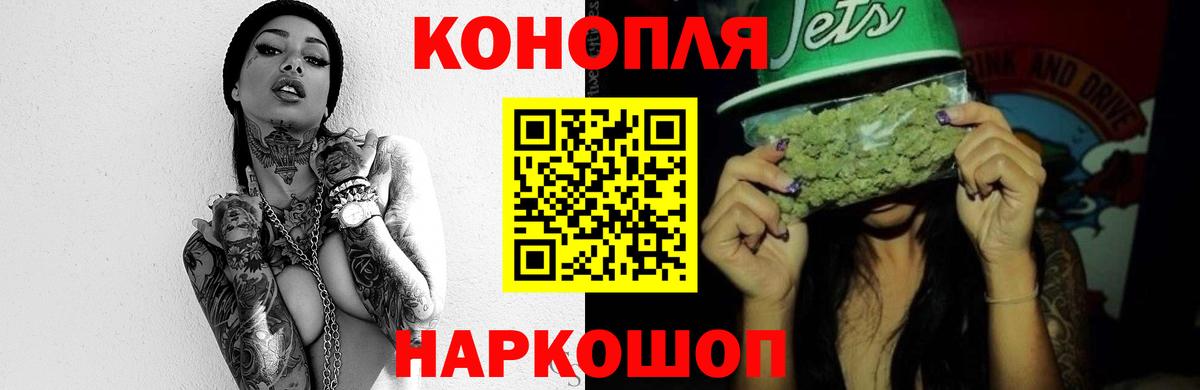 Конопля OG Kush Ржев